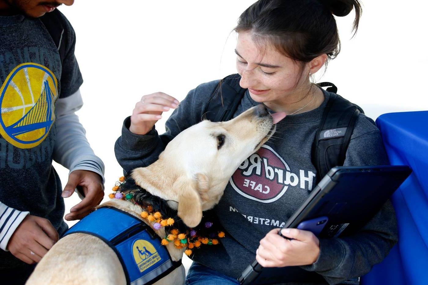 student with laptop and medium size dog